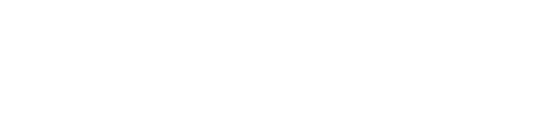 University of Texas at Austin logo